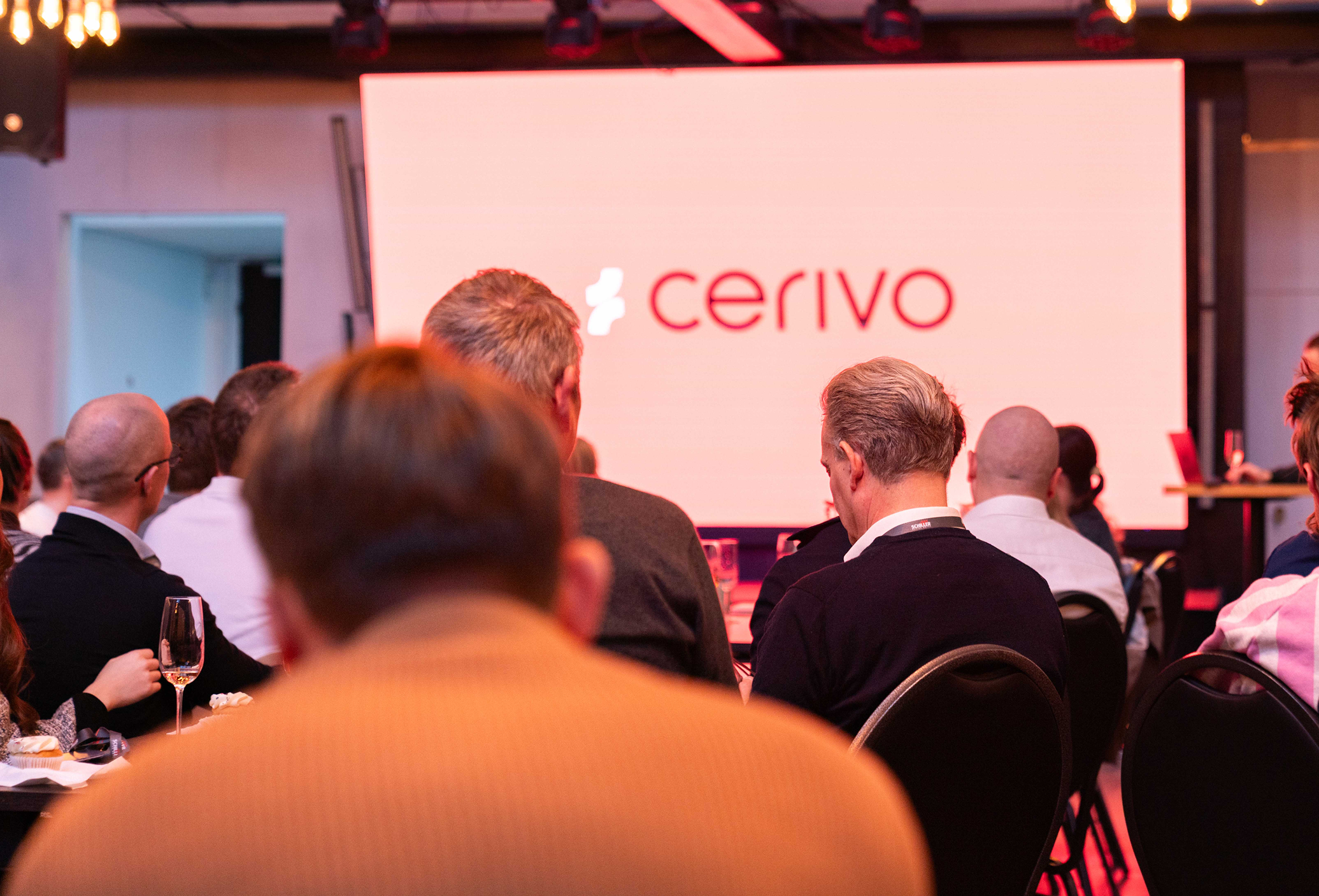 Cerivo x Helion B2B case study